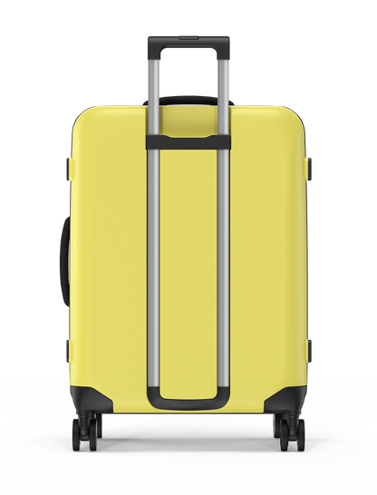 Flex 360° Spinner Collapsible Suitcase